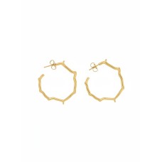 Brincos Argola Orgânica Dourada