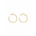 Brincos Argola Orgânica Dourada