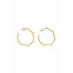 Brincos Argola Orgânica Dourada